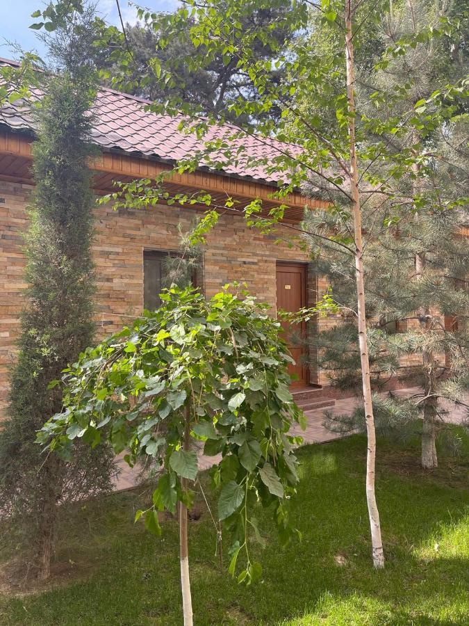 Hotel City Samarkanda Zewnętrze zdjęcie